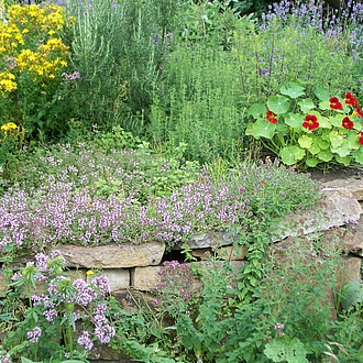 Kräuterspirale Juni 2016 Kräuterspirale Juni 2016