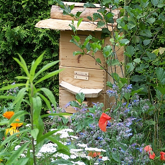 Bienenstock aus Fangkiste Bienenstock