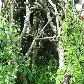 Kunst oder Rankhilfe ...Verborgenes Kunst oder Rankhilfe ...Verborgenes