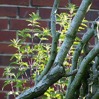 Perspektiven Perspektiven