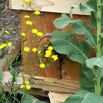 Bienenstock - 16 Bretter 8 Leisten und ein 3 Deckel ink. Dämmung Bienenstock einfach