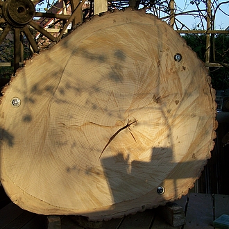 Schaubeute - Als Flugloch dient der Trocknungsriss Schaubeute