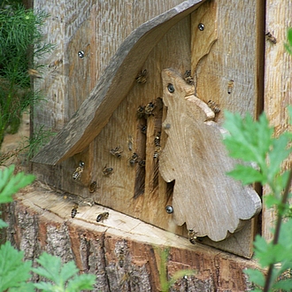 Klotzbeute 6cm Eiche massiv Klotzbeute